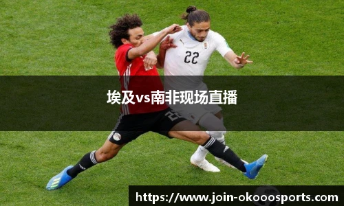 埃及vs南非现场直播